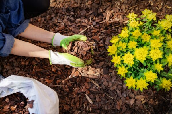 Content for Landscapers